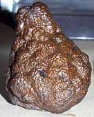 dried fruit