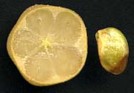 Cut Wampee fruit and seed