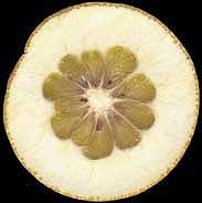 cut shaddock fruit