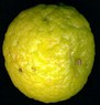 Thai Lime fruit