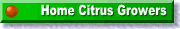 To home page