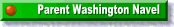 Parent Washington Navel
